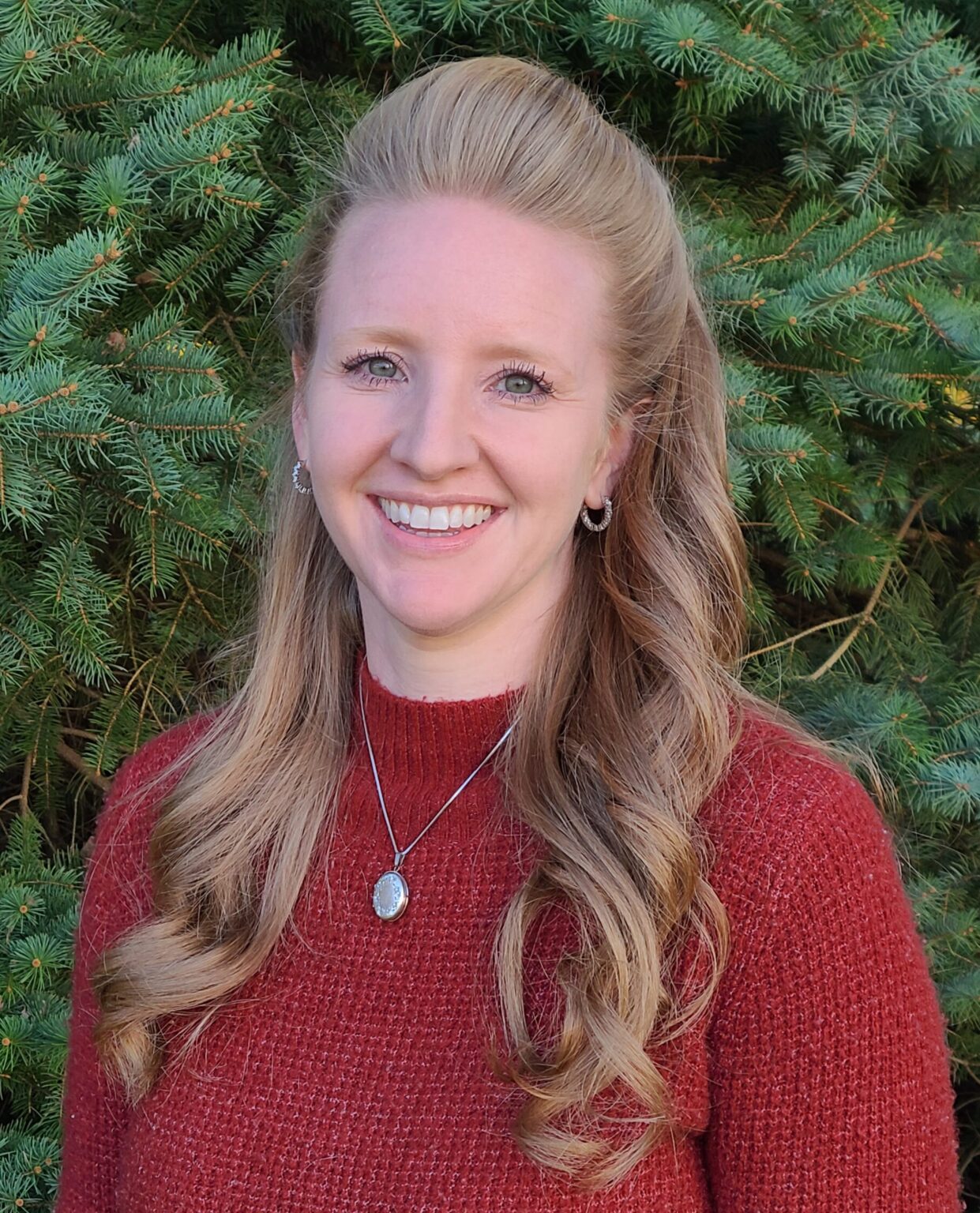 Perinatal Therapy for Moms. Professional Counseling Services in Illinois and Wisconsin